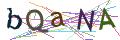 Captcha Not Loaded
