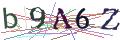 Captcha Not Loaded